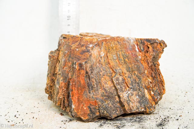 Petrified Wood XL80