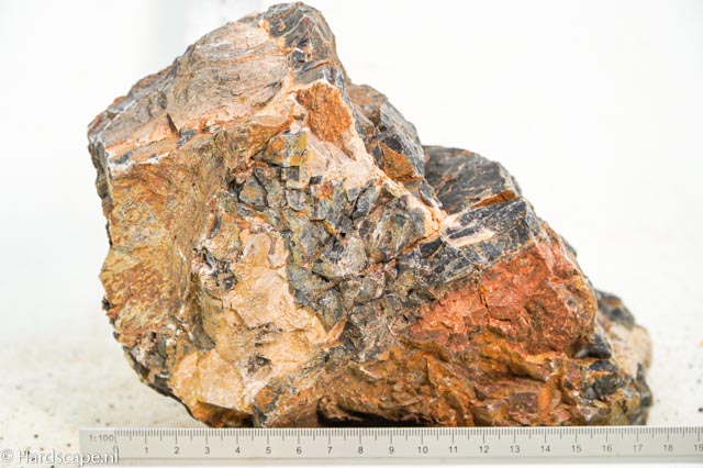 Petrified Wood XL81