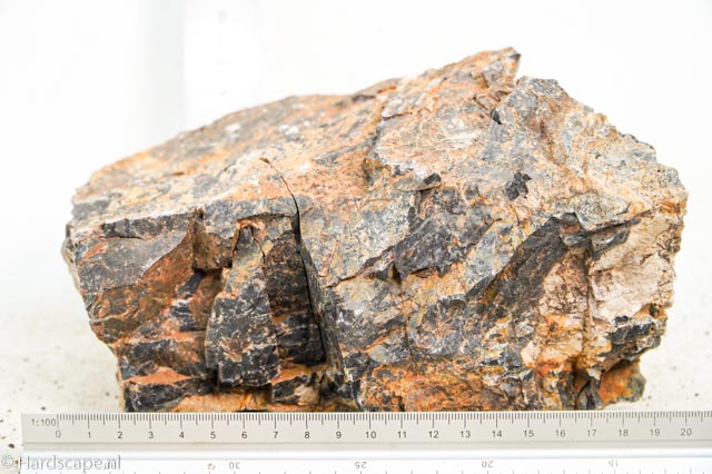 Petrified Wood XL81