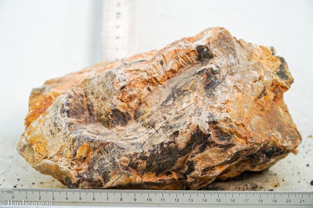 Petrified Wood XL82