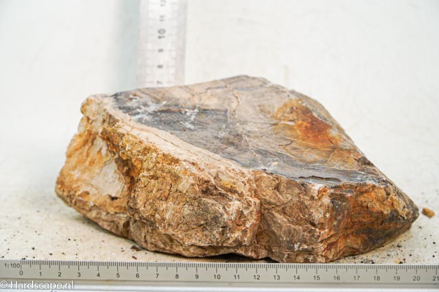 Petrified Wood XL83