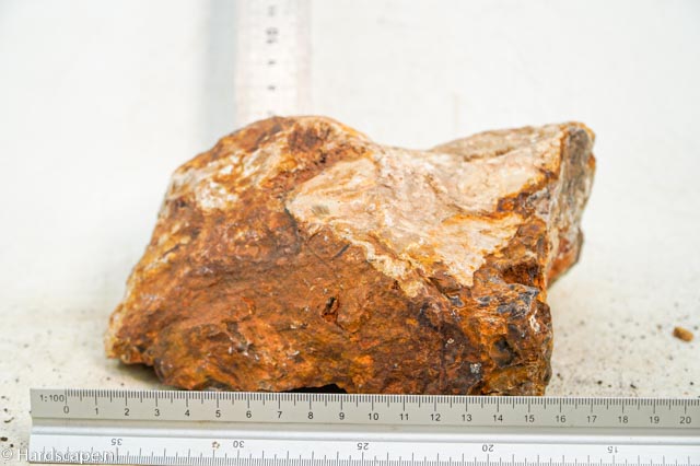 Petrified Wood XL84