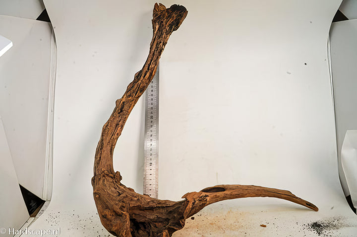 Driftwood L164