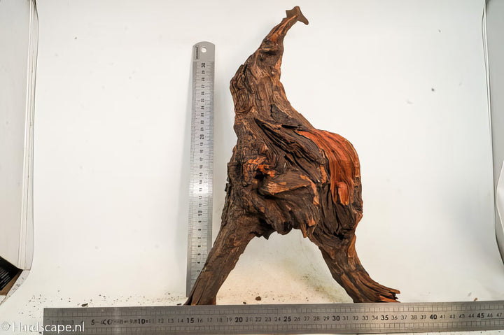 Driftwood L168