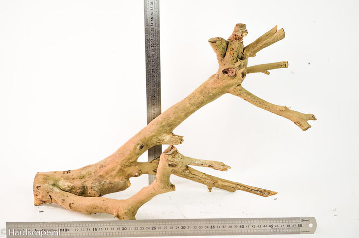 Talawa Wood 265
