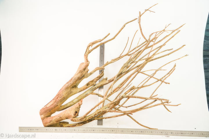Talawa Wood 269