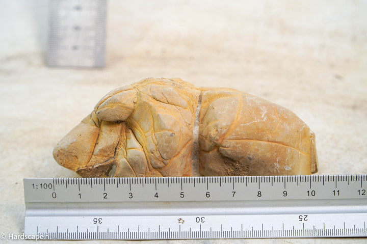 HRC stone S26 - Hardscape.nl