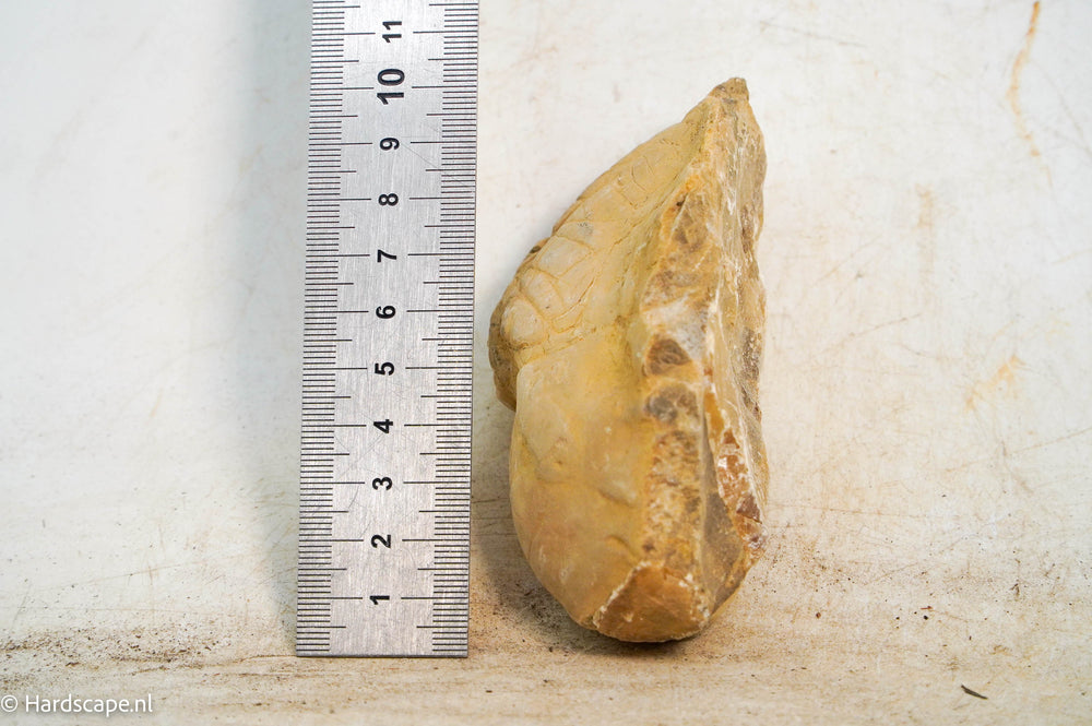 HRC stone S26 - Hardscape.nl