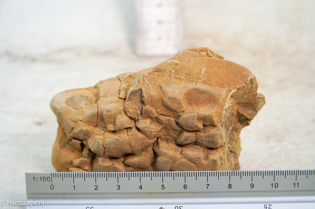 HRC stone S31 - Hardscape.nl