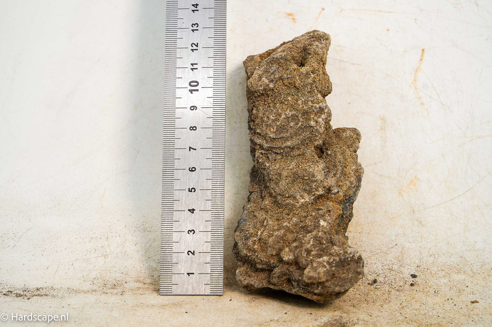 Iron Stone 059 - Hardscape.nl