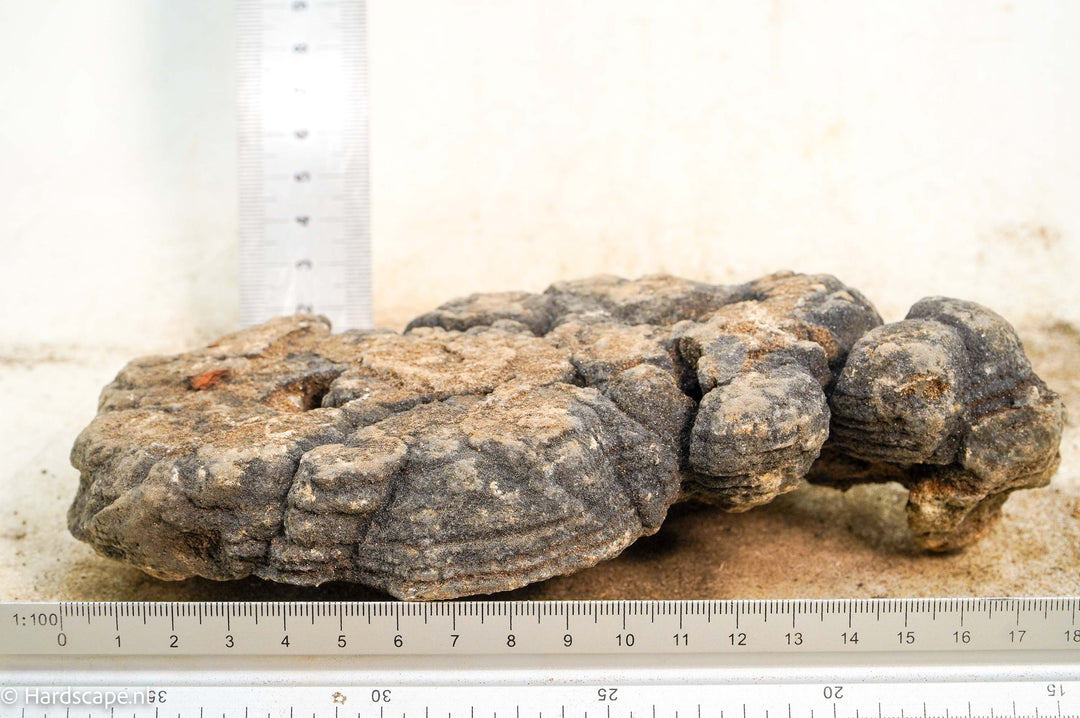 Iron Stone 077 - Hardscape.nl