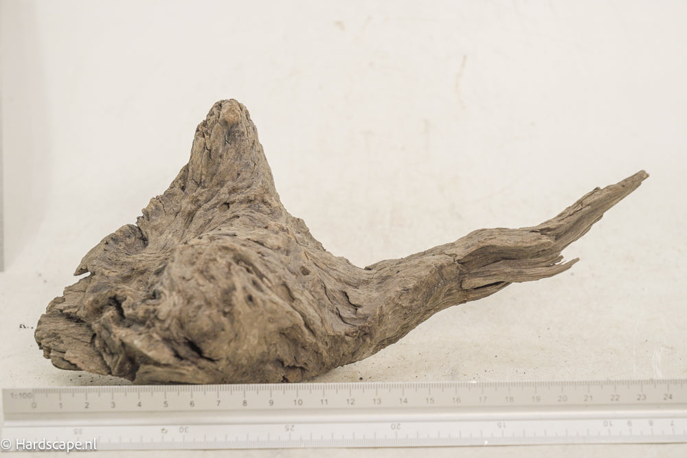Driftwood M143 - Hardscape.nl
