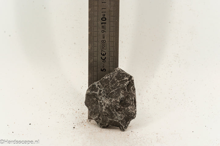 Donkere Hell Stone S100 kleine hardscape steen, getoond in een natuurlijke tuinsetting, van Hardscape.nl.