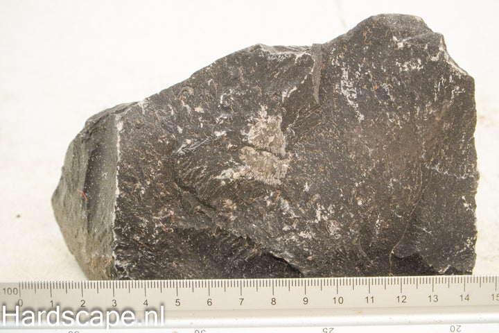 Dark Hill Rock M018