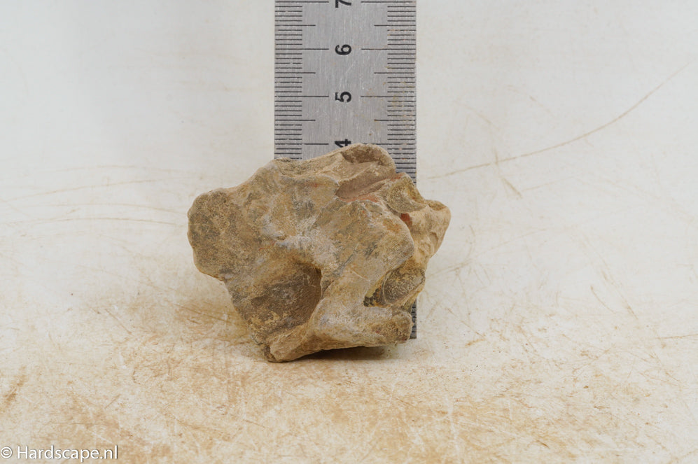 Dragon Stone XS204 - Hardscape.nl