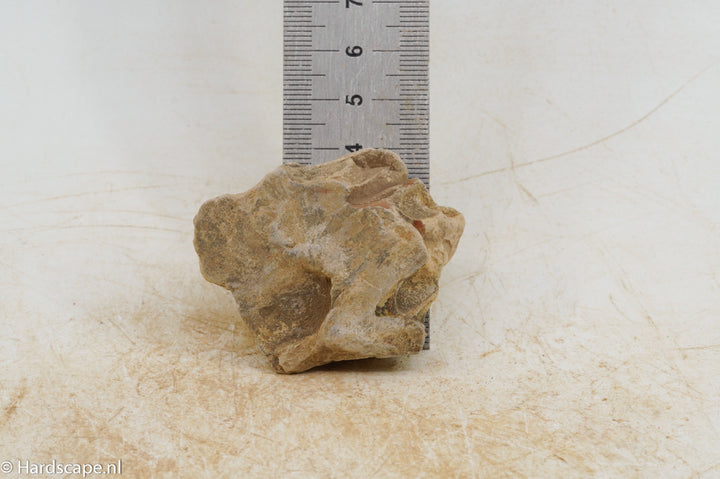 Dragon Stone XS204 - Hardscape.nl