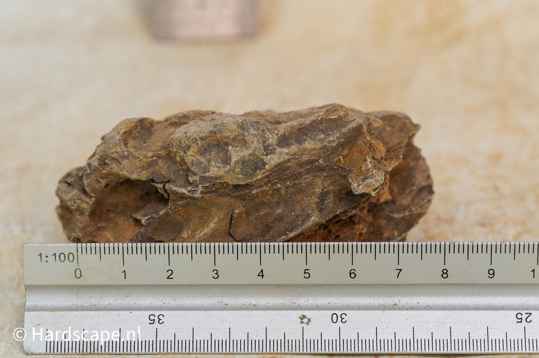 Dragon Stone XS341 - Hardscape.nl
