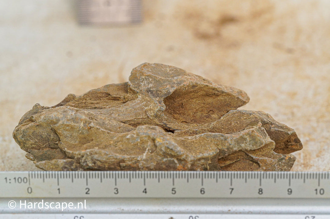 Dragon Stone XS352 - Hardscape.nl