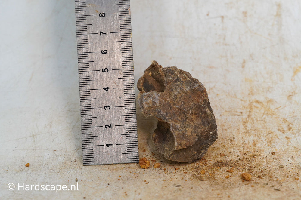 Dragon Stone XS357 - Hardscape.nl