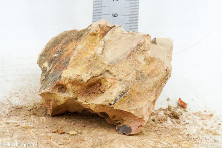Dragon Stone S442 - Hardscape.nl