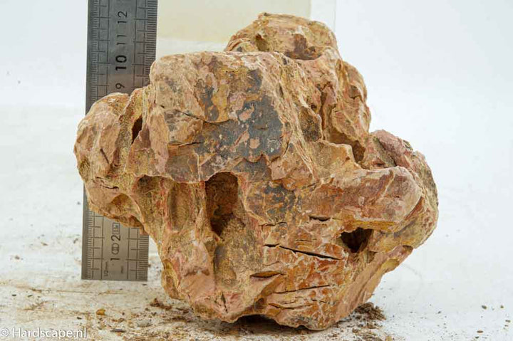Dragon Stone L291