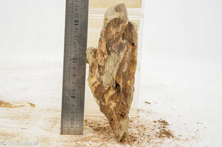 Dragon Stone L292