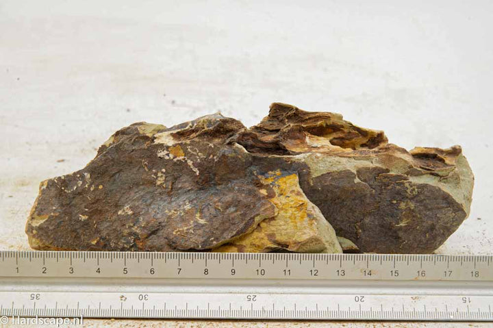 Dragon Stone L292