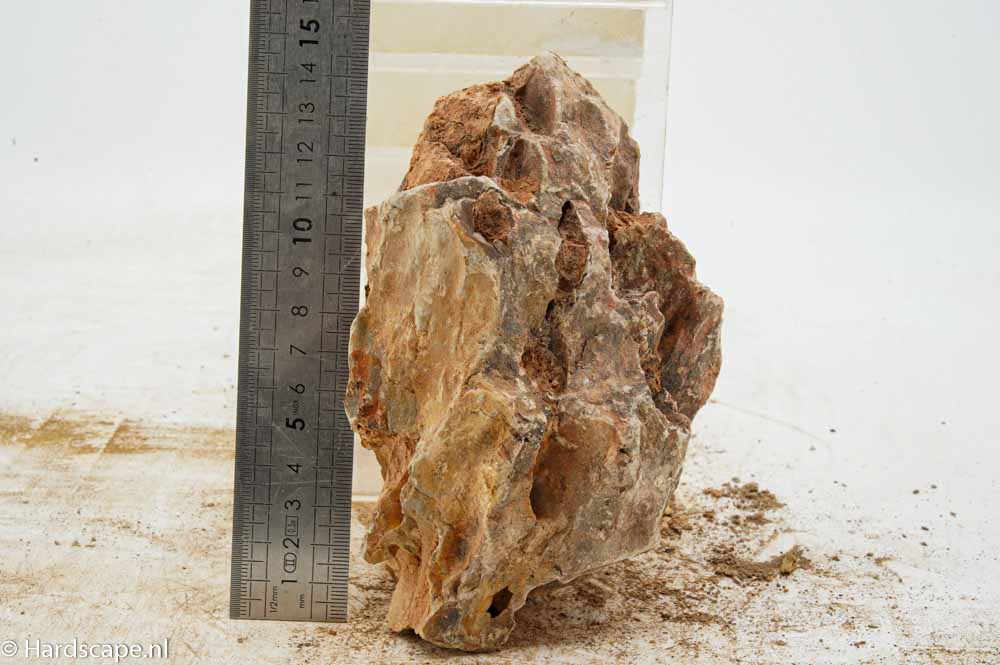Dragon Stone L298