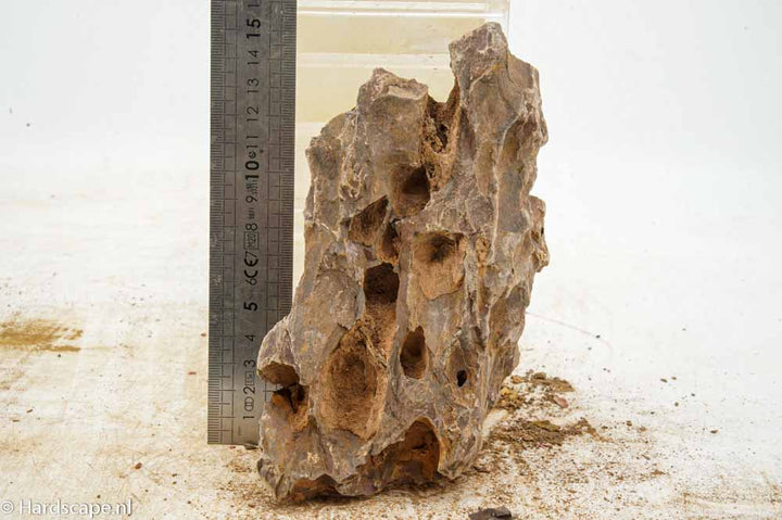 Dragon Stone L304