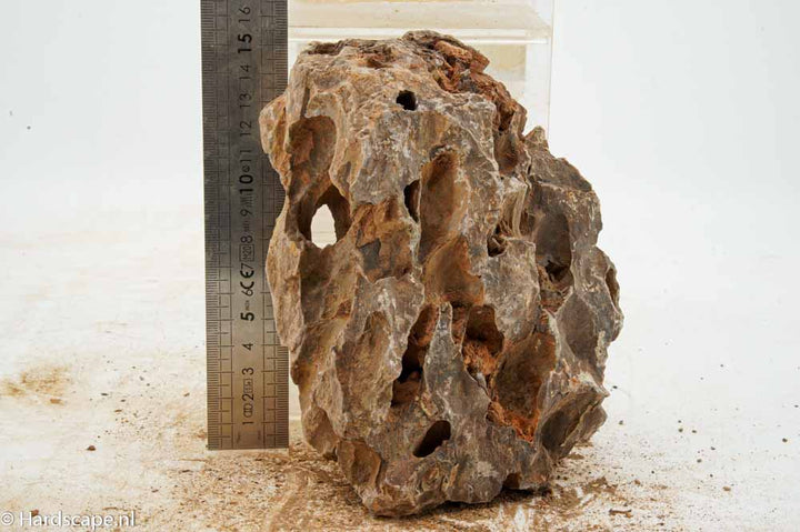 Dragon Stone L311