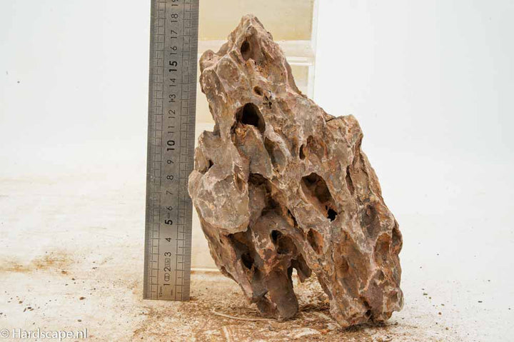 Dragon Stone L313