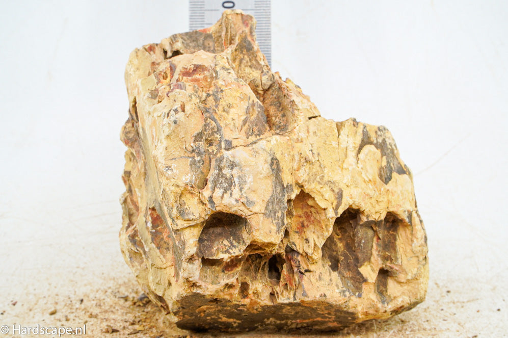 Dragon Stone M363 - Hardscape.nl