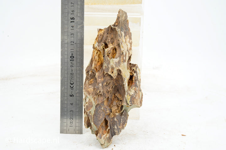 Dragon Stone M388