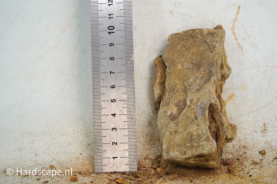 Dragon Stone S463 - Hardscape.nl