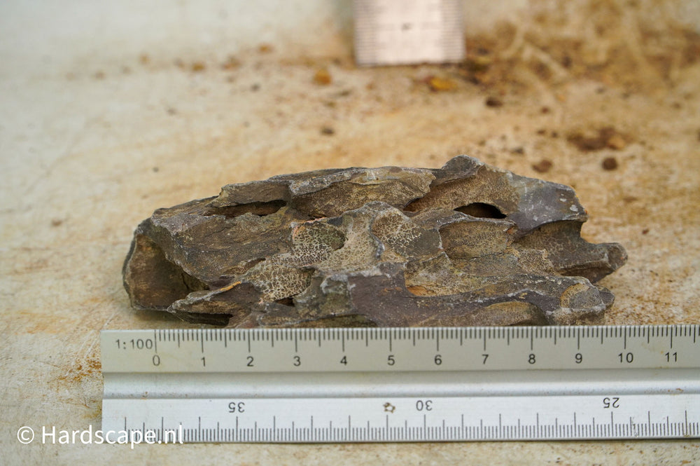 Dragon Stone S470 - Hardscape.nl