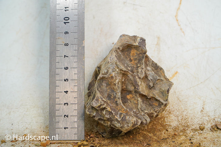 Dragon Stone S486 - Hardscape.nl