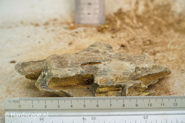 Dragon Stone S489 - Hardscape.nl