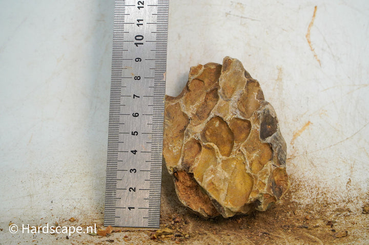 Dragon Stone S492 - Hardscape.nl