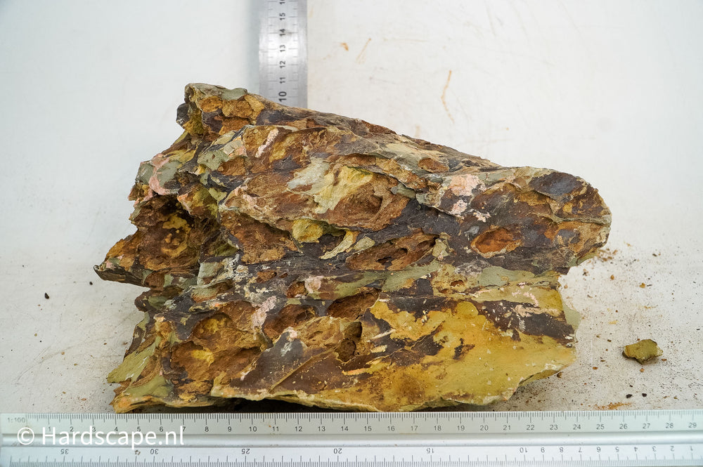 Dragon Stone XL119 - Hardscape.nl