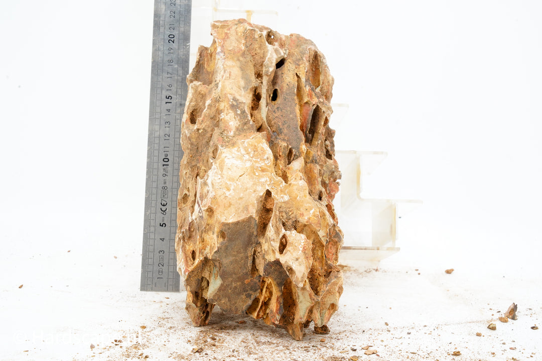 Dragon Stone XXL139