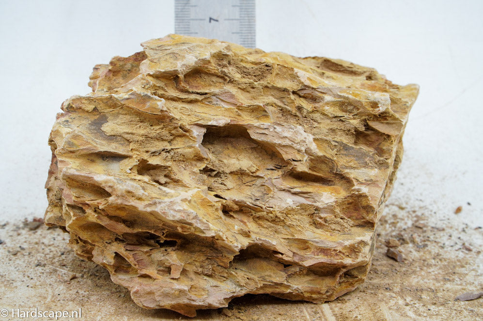 Dragon Stone L236 - Hardscape.nl