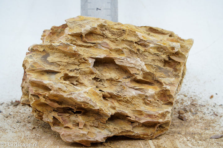Dragon Stone L236 - Hardscape.nl