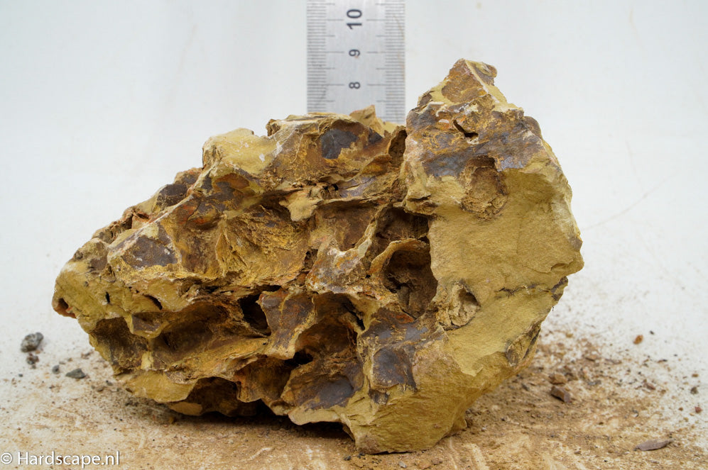 Dragon Stone L237 - Hardscape.nl
