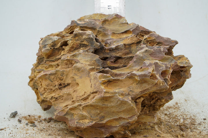 Dragon Stone L241 - Hardscape.nl