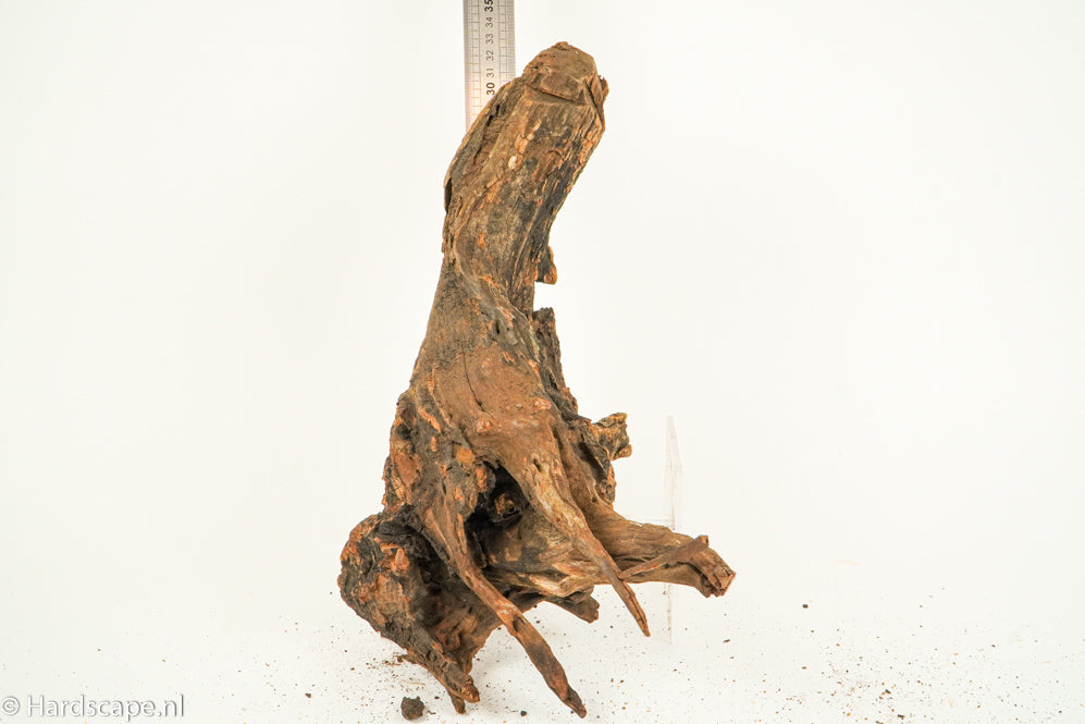 Mangle aquarium decoratie hout 30-60 cm per stuk | ShrimpMania Mangle aquarium decoratie hout 30-60 cm per stuk | ShrimpMania