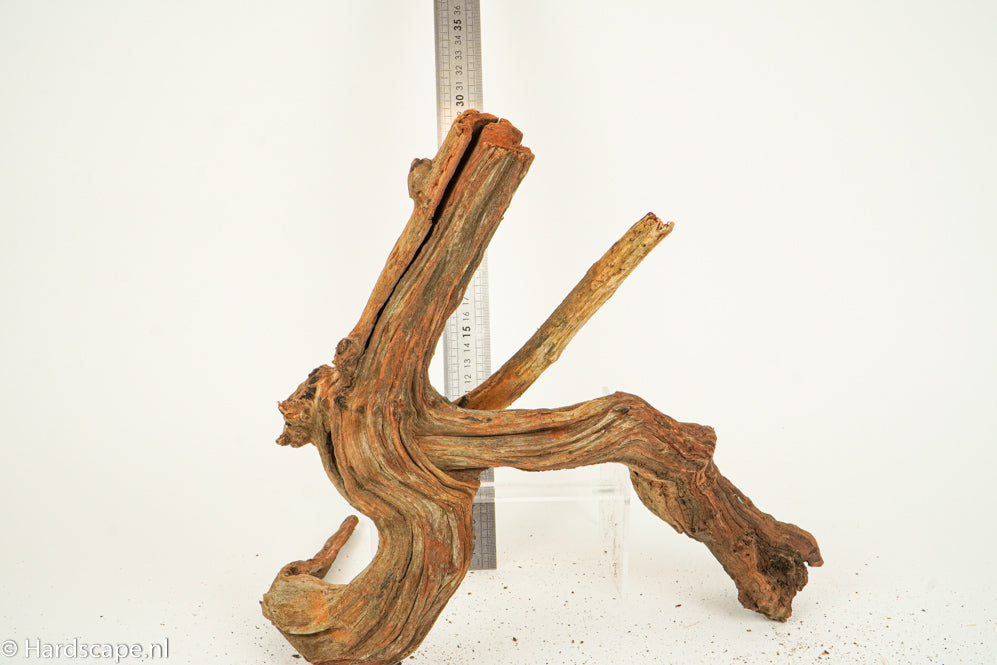 Driftwood L152 - Hardscape.nl