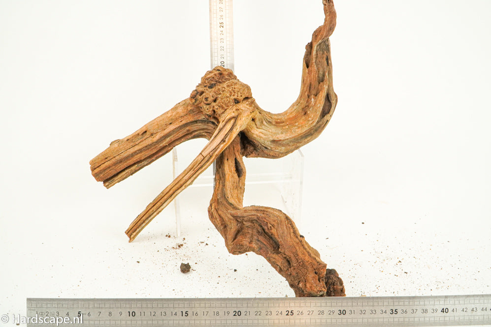 Driftwood L152 - Hardscape.nl