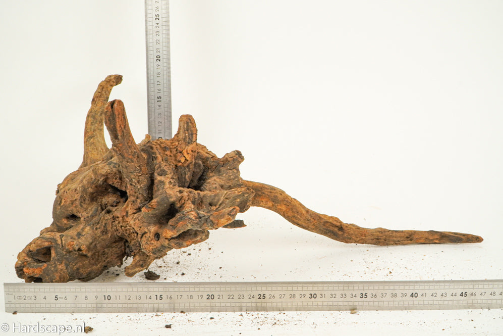 Driftwood L154 - Hardscape.nl