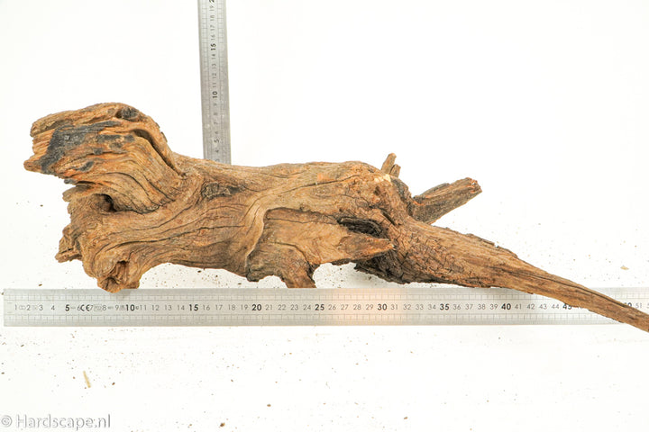 Driftwood L155 - Hardscape.nl