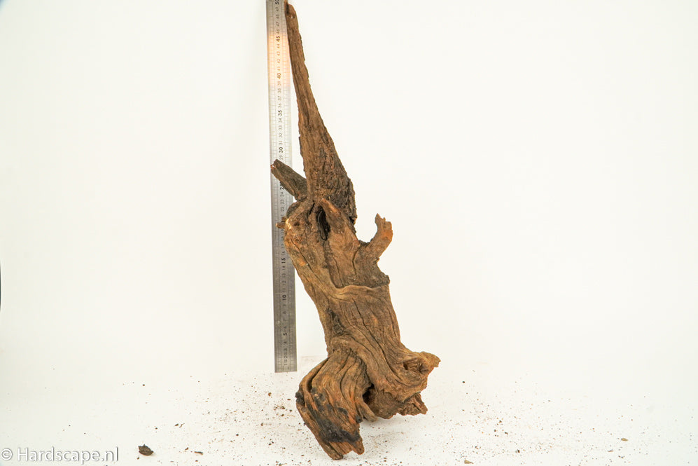 Driftwood L155 - Hardscape.nl